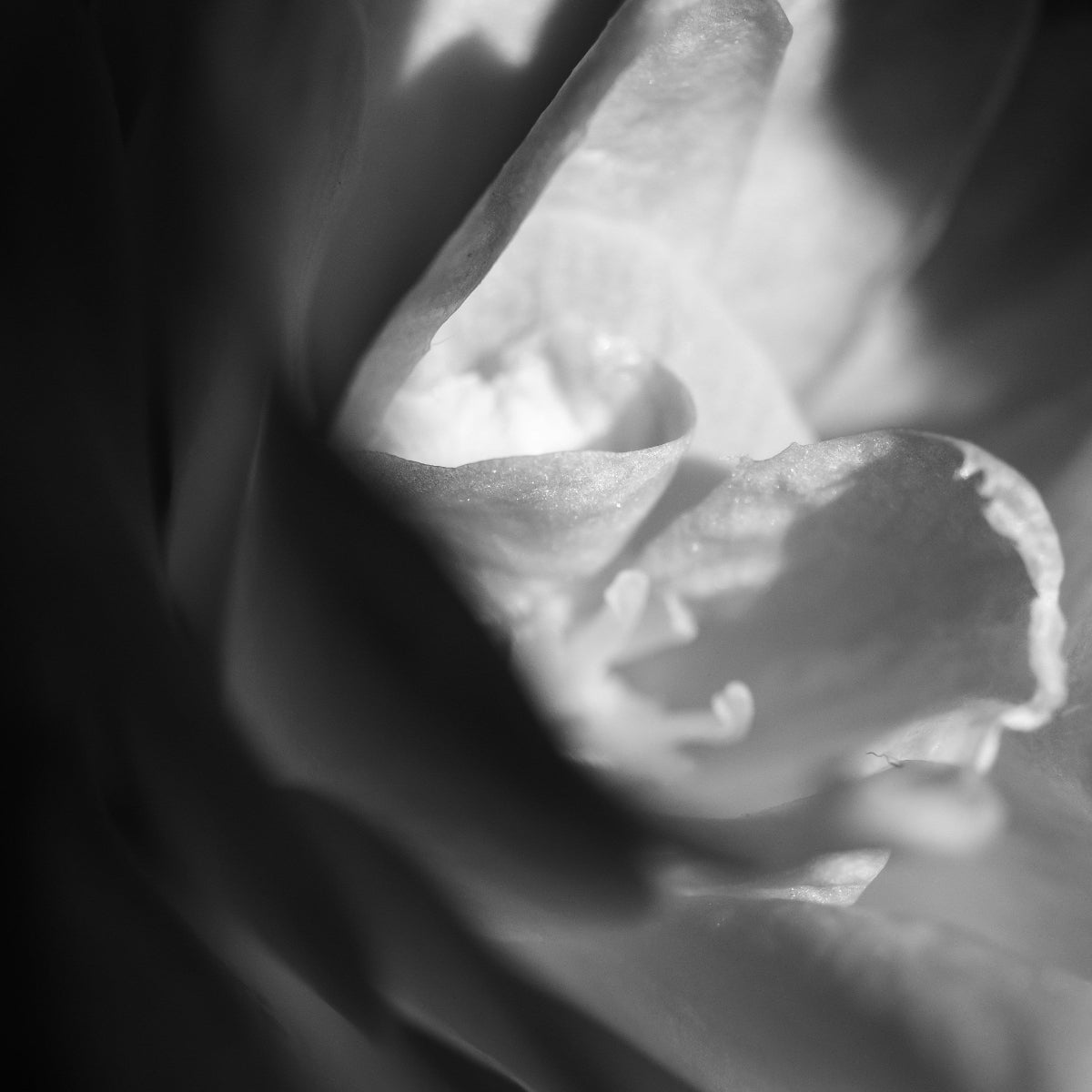 Vitamin A Explained: How It Supports Skin, Immunity & Vision