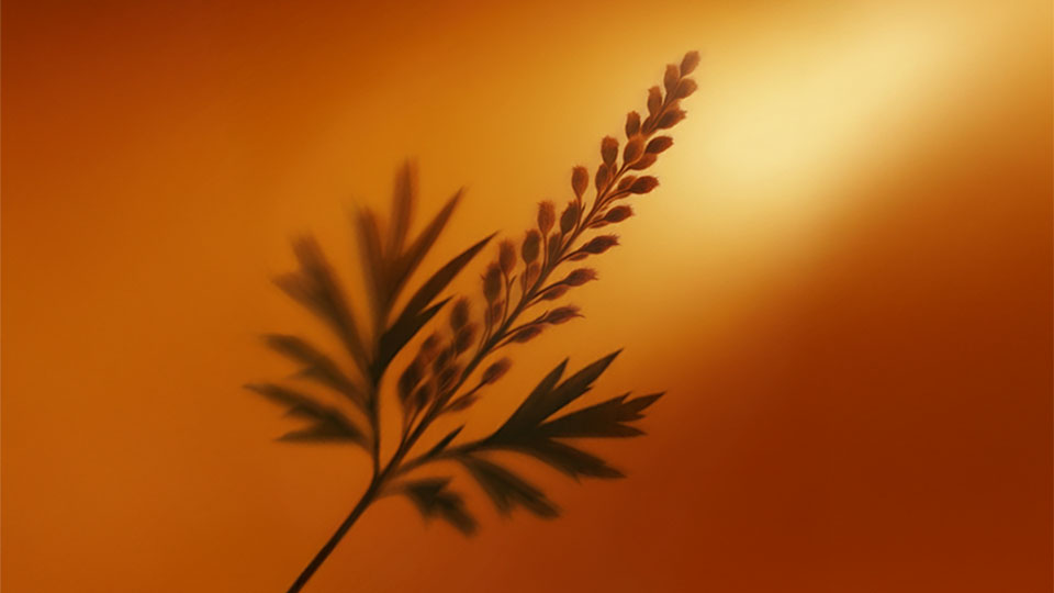 The Link Between Hormones and Skin Health: Signs Your Skin Is Telling You Something