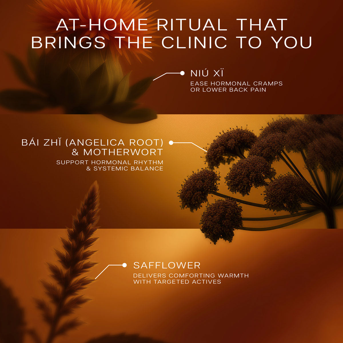 THERMAL HORMONE BALANCE ACU-PATCH®