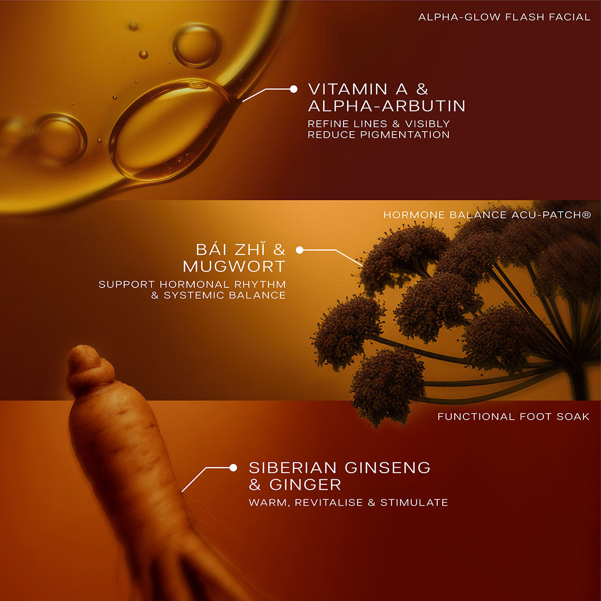 THE WARM GLOW (Worth £95)